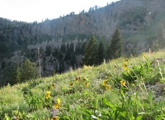 Fuzzy Racks and Heart Attacks matt eastman 2